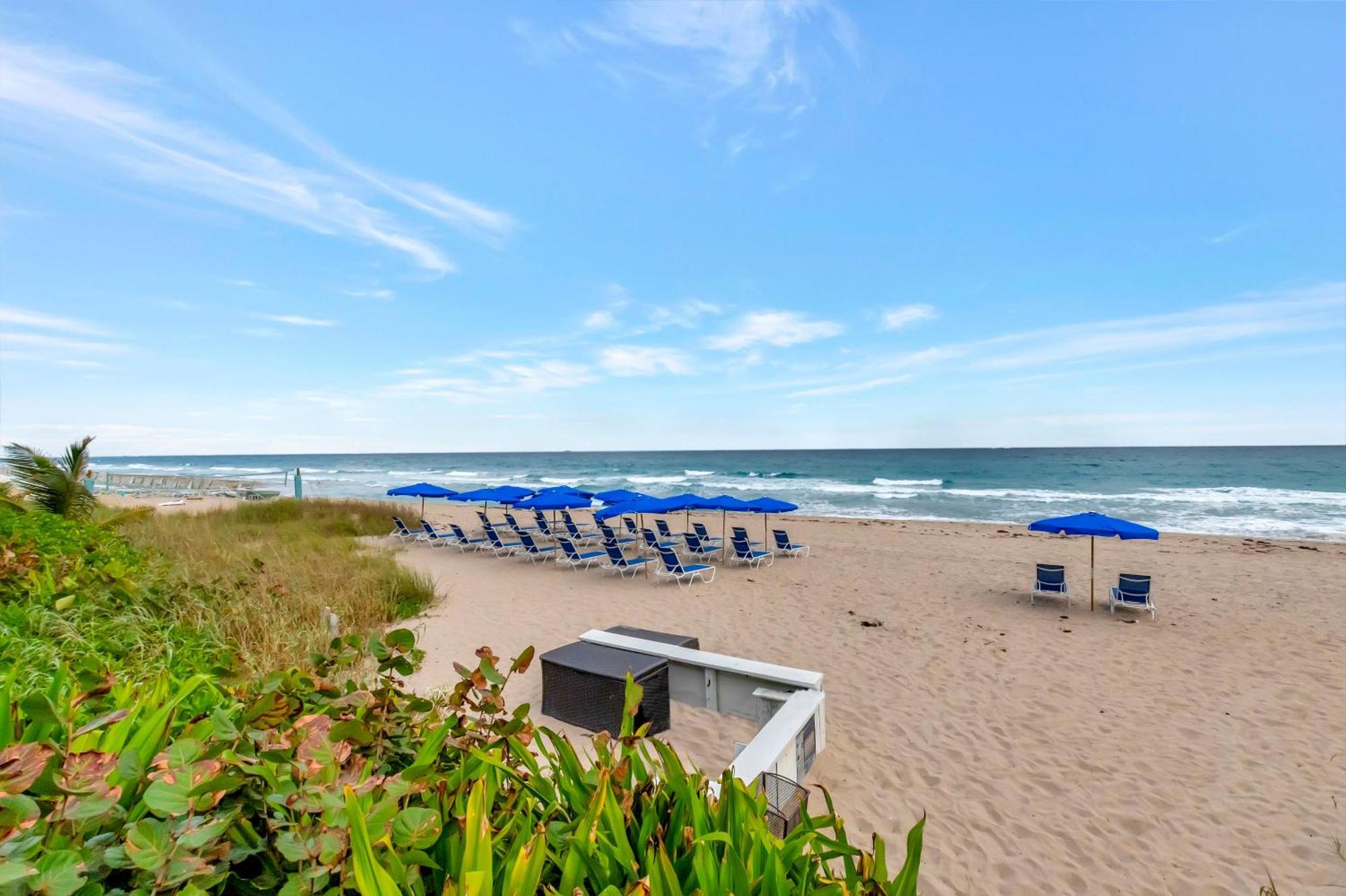 Tideline Palm Ocean And 5*
